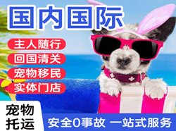 成都天府航空邮寄国际宠物托运 【国